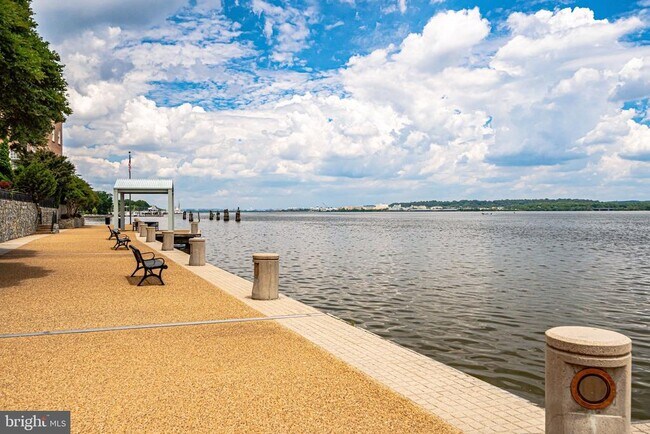 Foto del edificio - 17 Alexander St