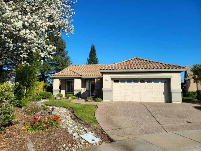 Building Photo - 396 Cope Ridge Ct
