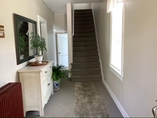 Building Hallway - 290 Bruce Park Ave