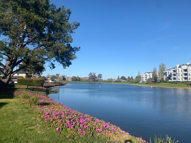 Foto del edificio - 1636 Marina Ct