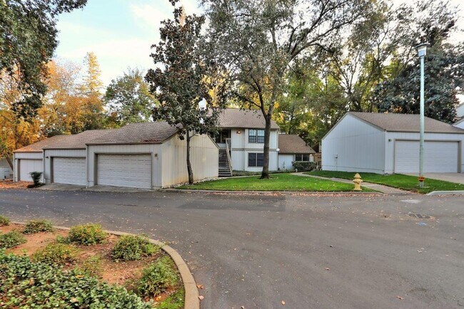 Building Photo - 3997 Park Circle Ln