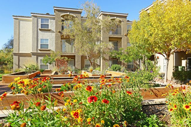 Community Garden - Portofino Senior Apartments