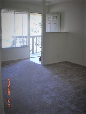 Entry into living room - 1011 Del Rio Dr