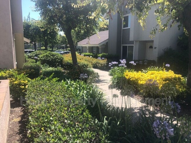 Building Photo - 9 Goldenbush