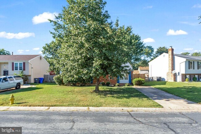 Building Photo - 3525 Norwood Ct