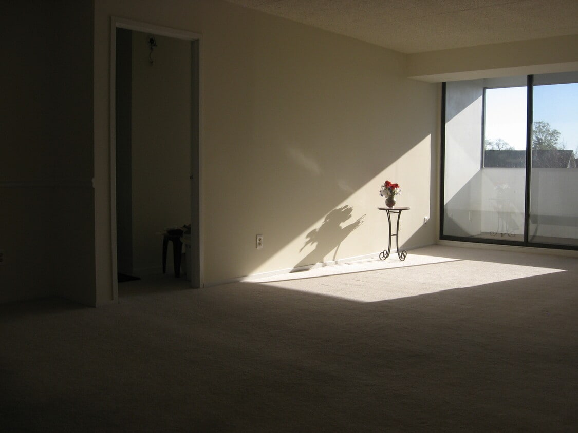 Primary Photo - 5911 Edsall Rd., APT #705