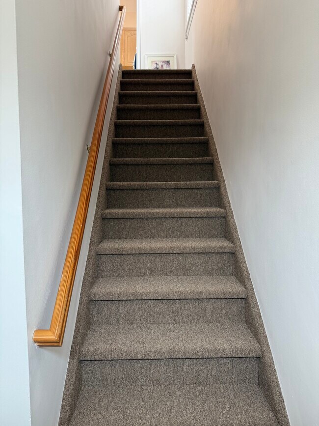 New carpeting on staircase - 19603 42nd Rd