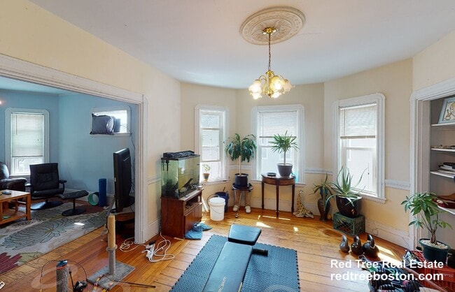 Photo - 29 Victoria St Apartment