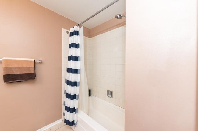 Building Photo - 1 bedroom in Chicago IL 60616