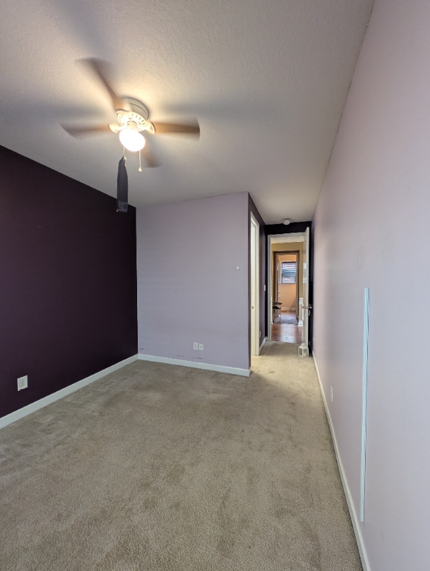 Building Photo - 4314 Connestee Ct