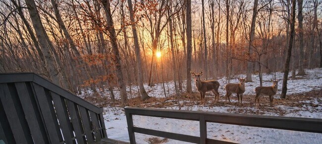 Foto del edificio - 5388 Flintstone Dr