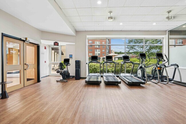 Center Place - Gimnasio - Center Place