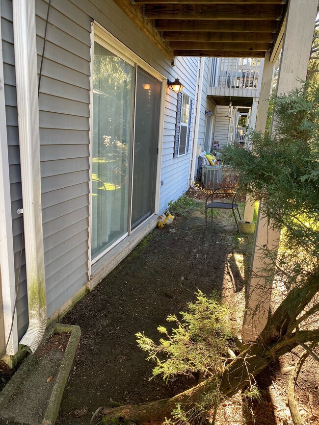 backyard - 93 Park Ave