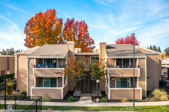 Greenback Terrace Apartments photo'