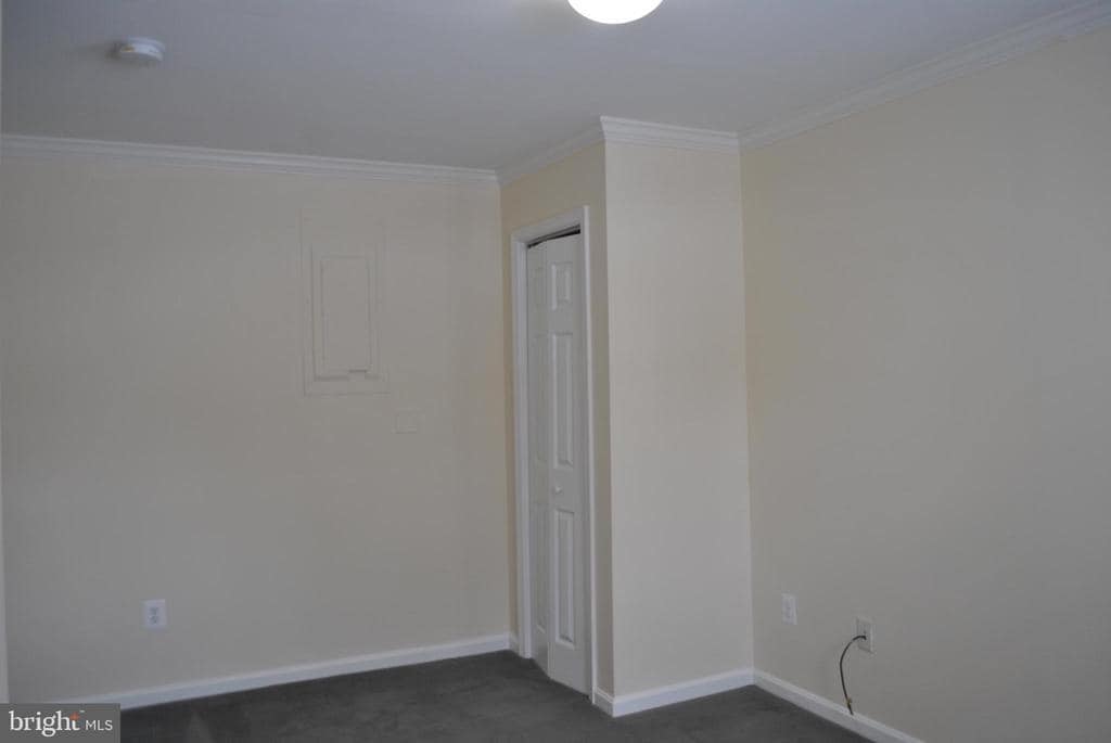 Primary Photo - 232 Robinson St