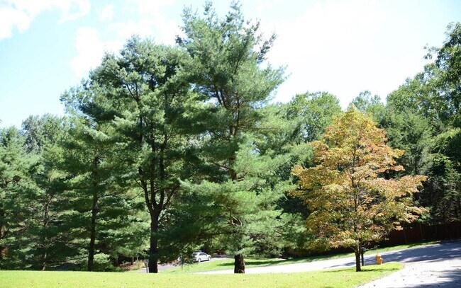 Front Yard - 10124 Hobsons Choice Ln