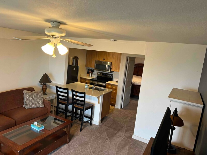 31095 US40 Unit Apartment, Steamboat Springs, CO 80487 Room for Rent