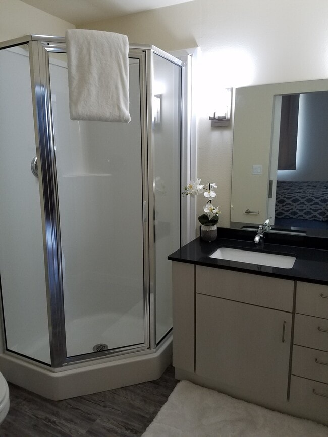 Studio 44 Apartments Corpus Christi Tx Apartments Com