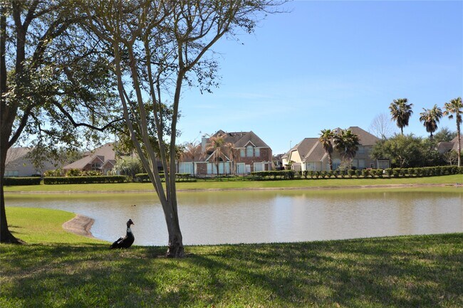 Foto del edificio - 1711 Emma Cove Ct