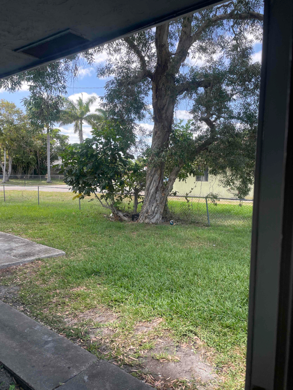 Foto del edificio - 1570 E Breezy Ln