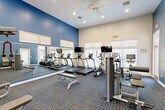 Located at 215 Republic Ave in Lafayette, Louisiana, this dedicated fitness center offers a well-appointed exercise space designed to support a comprehensive workout routine. The room features soaring ceilings that lend an open, airy atmosphere, complemented by bold blue accent walls and crisp white upper walls that give the space a modern, energetic aesthetic. A large wall-length mirror along one side amplifies the sense of space and allows users to monitor their form during workouts.

Natural light streams in through multiple windows fitted with blinds, while recessed lighting and a ceiling fan ensure consistent illumination and air circulation throughout. The floor is covered in durable, multi-toned commercial carpet suited for fitness use.

The cardio section is well-stocked with a row of treadmills, each equipped with an individual monitor, alongside elliptical trainers and a stationary cycle. The strength training area features multiple cable and selectorized machines for a variety of muscle groups, complemented by a dedicated free weight section with a full dumbbell rack and exercise balls for functional training. Adjustable benches are positioned throughout to support both machine and free weight exercises. A wall-mounted flat-screen TV adds to the amenity-rich environment, making this fitness center a comprehensive and inviting space for residents and users alike.