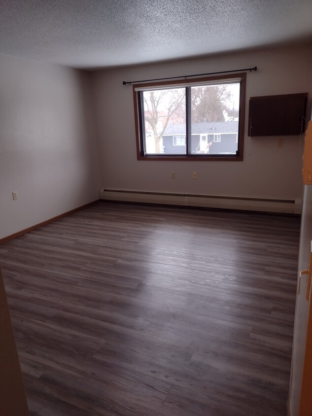 Living room - 102 W Lincoln St