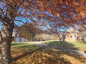 Building Photo - 557 Drift Rd