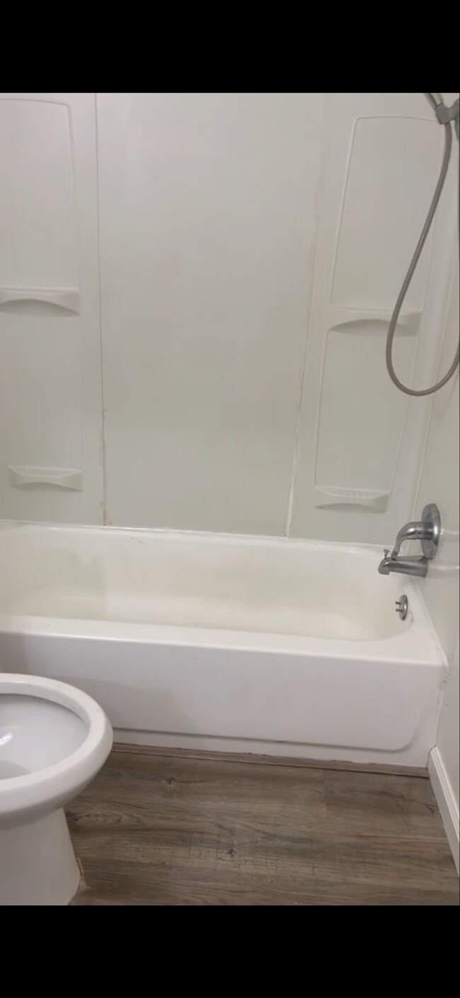 Foto del edificio - 1145 Olive Tree Ln