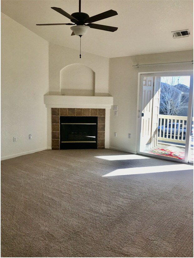 Fireplace - 3210 Boulder Cir