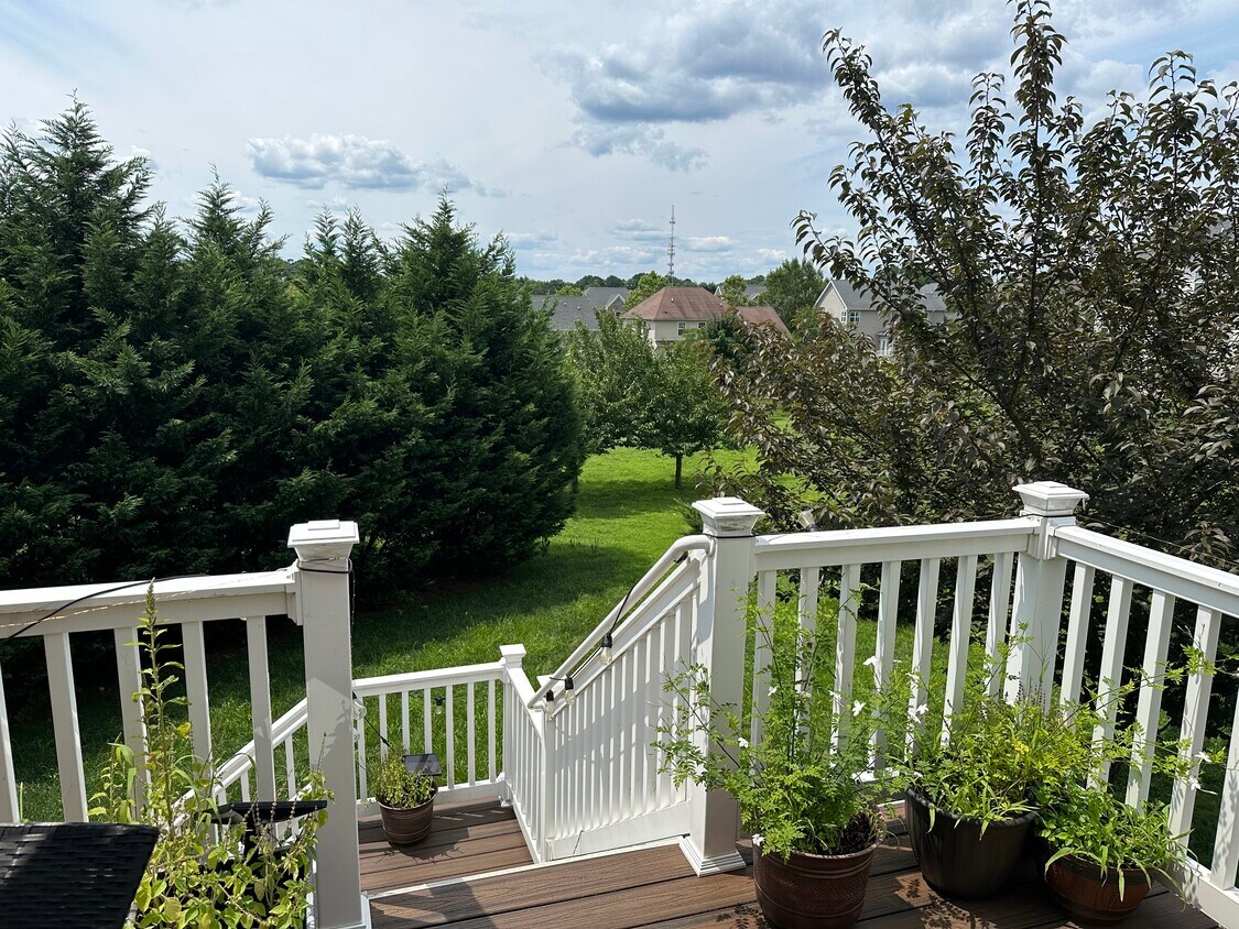 Foto del edificio - 345 Wagon Wheel Ln