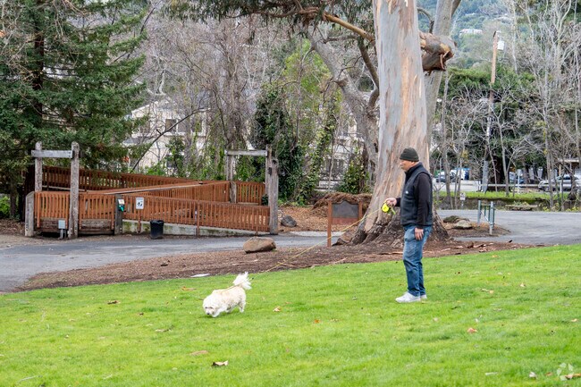 A local walking his dog in Wildwood Park in Saratoga.