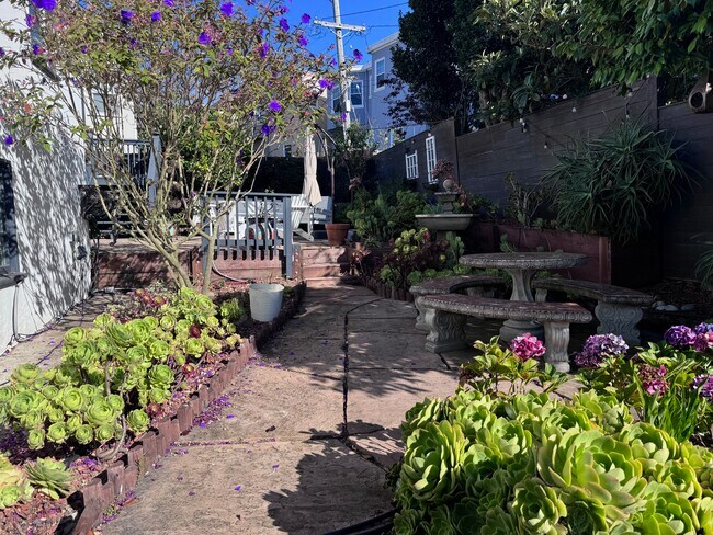 Backyard - 1650 Plymouth Ave