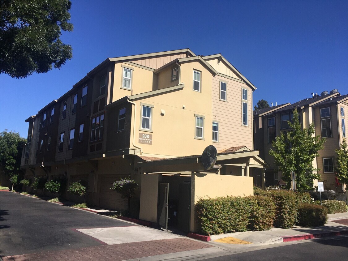 238 Peppermint Tree Ter, Sunnyvale, CA 94086 Townhome Rentals in