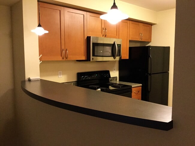 Building Photo - Beautiful Studio in Downtown Bellevue!