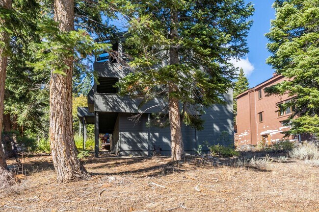 Foto del edificio - 283 Monterey Pine Rd