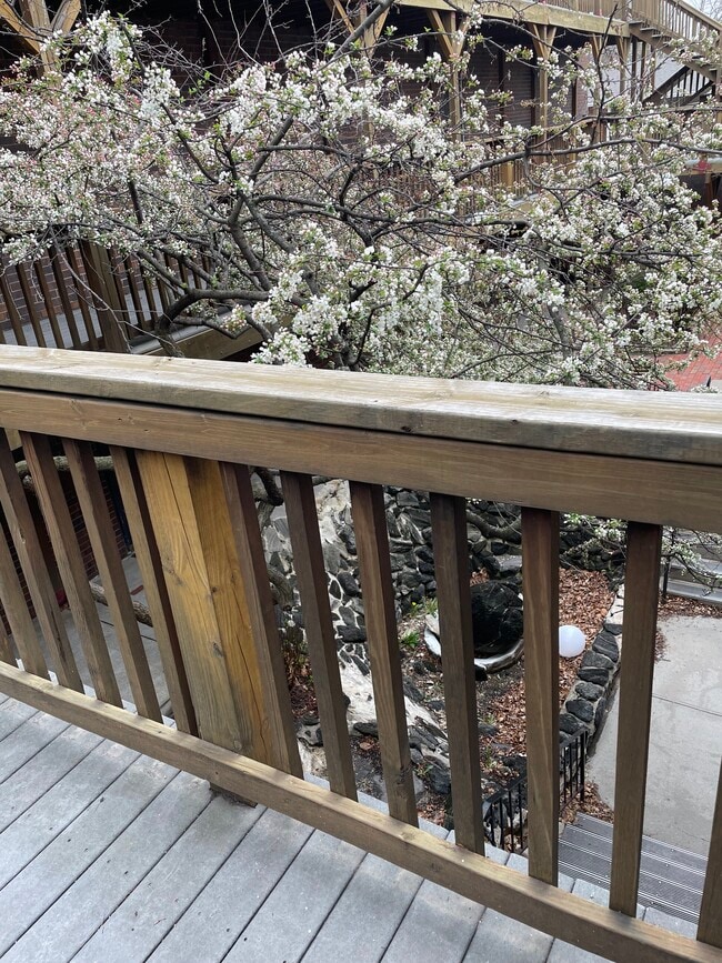 View in spring over the catwalk - 101 N 69th St