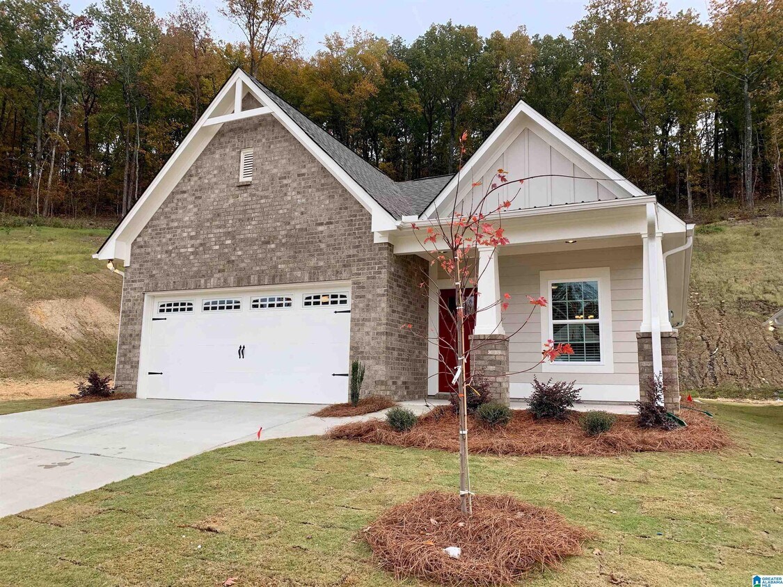 1323 Shades Terrace, Birmingham, AL 35210 House Rental in Birmingham