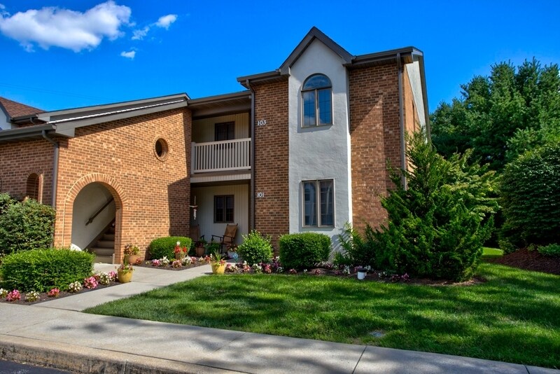 Primary Photo - 103 Black Oak Dr