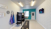 This single-room pet wash facility is purpose-built for convenient, self-service pet grooming. The space is thoughtfully designed with cleanliness and functionality in mind, featuring bright fluorescent ceiling lighting and a ventilation system overhead that keeps the area fresh and well-lit. A standout feature is the dedicated Gacy Concord Pet Wash unit — a freestanding, coin-operated or card-activated grooming station that provides pet owners with all the tools needed for a thorough wash. Protective aprons hang neatly on wall hooks near the entrance, ready for use. The floors are finished in a durable, easy-to-clean terrazzo-style surface, and a "Wipe Your Paws" mat runs along the central floor, adding a practical and charming touch. The walls are painted in crisp white with a lively teal accent wall that adds a pop of color and energy to the space. Patterned wallpaper on one side contributes a playful aesthetic. A window allows natural light to filter in, and a wall-mounted HVAC unit ensures year-round climate comfort. The room is clean, organized, and fully equipped to make pet grooming a straightforward and pleasant experience.