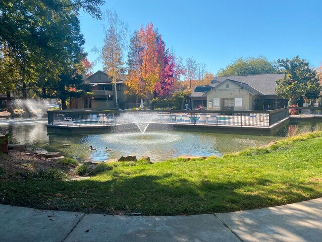 Lake View Entrance - 2310 La Terrace Cir