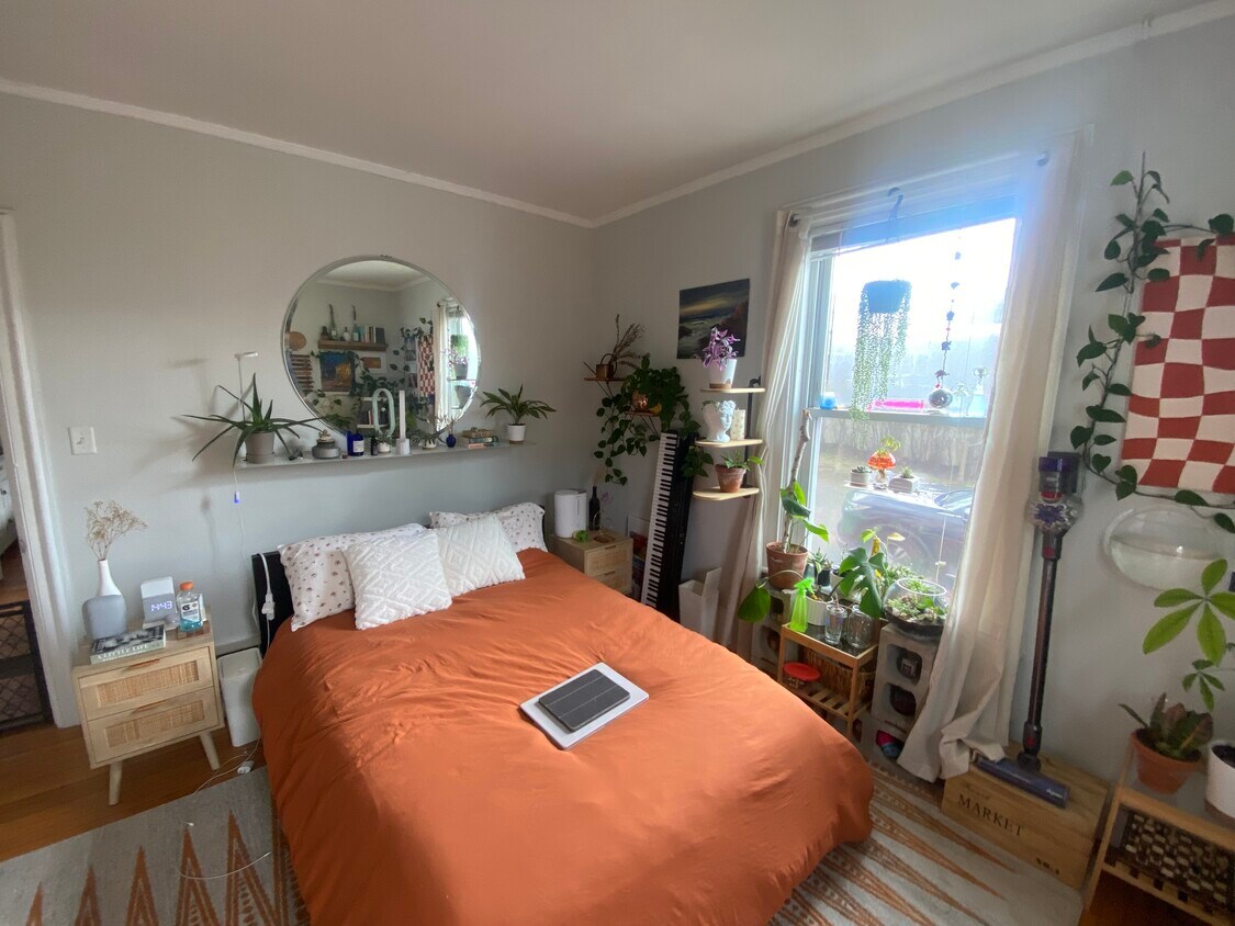 Primary Photo - 254 Crescent St