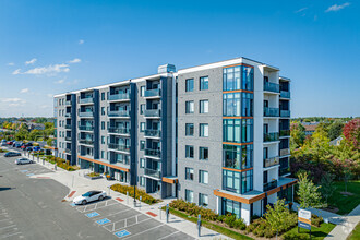 Building Photo - Urban Lofts