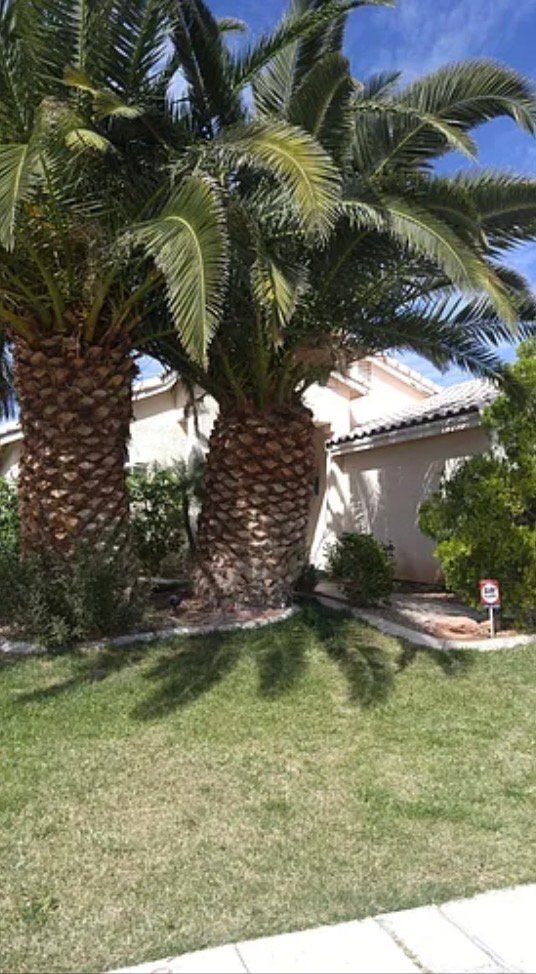 Foto del edificio - 6088 Bing Cherry Dr