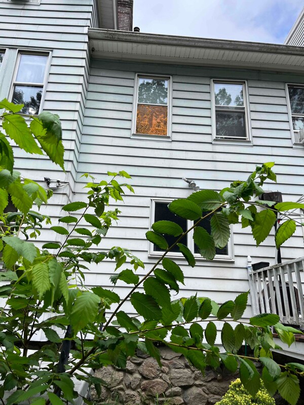 99 Brantwood Rd Unit 2, Worcester, MA 01602 Room for Rent in