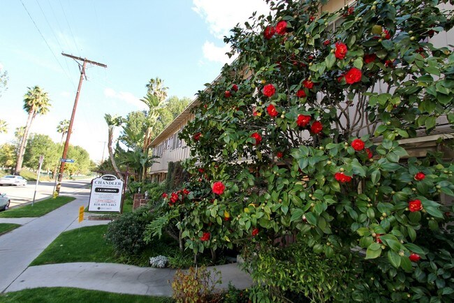 Foto del edificio - 12224 Chandler Blvd
