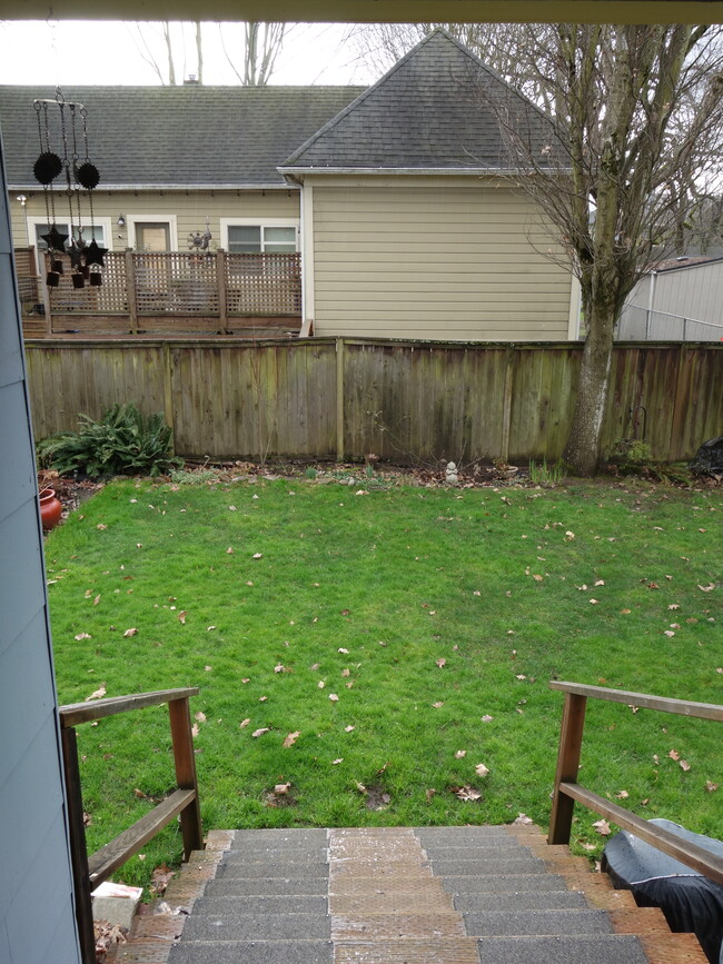 gloomy winter back yard - 30 NE Stanton St