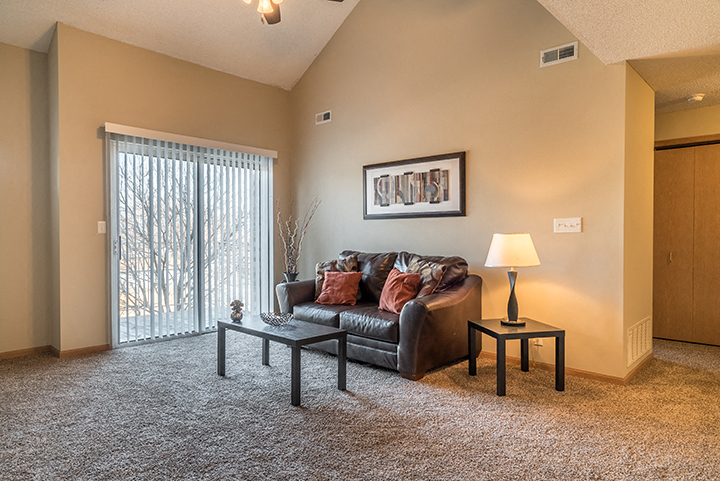 Bright living room with lots of natural lighting. - Skyline View