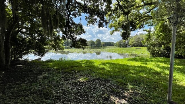 Water-front property with a spring fed lake - 1649 Hull Cir