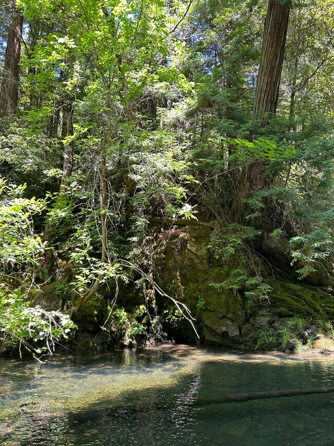 Foto del edificio - 41500 Wilderness Lodge Rd