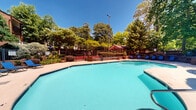 Located at 601 Jones Ferry Rd in Carrboro, North Carolina, this outdoor amenity space offers a well-appointed community environment designed for recreation and relaxation. The centerpiece of the area is a generously sized freeform swimming pool with a smooth, curved shape that invites leisurely use. The surrounding pool deck provides ample space for sunbathing, lined with blue lounge chairs positioned to take advantage of the open sky and natural light filtering through the mature tree canopy overhead. A secure iron fence encloses the pool area, ensuring privacy and safety.

Adjacent to the pool, raised timber-edged garden beds feature neatly trimmed hedges, flowering plants in decorative blue and terracotta pots, and carefully maintained greenery that adds vibrant color throughout the season. A covered structure visible in the background suggests additional shaded gathering space nearby.

A dedicated playground area with rubberized safety surfacing and wood chip borders provides a structured play zone, complemented by paved walkways and seating areas with tables. The broader community setting includes multi-story residential buildings with balconies, nestled among established trees that provide shade and a sense of seclusion. The overall ambiance is green, active, and inviting, offering residents a comprehensive outdoor lifestyle experience.